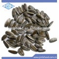 Inner Mongolia sunflower seeds